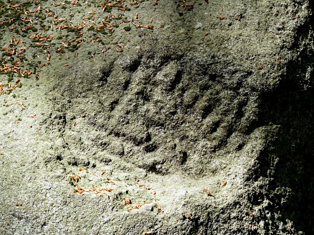 Rmische Petroglyphe (ca. 2.-4- Jh.)