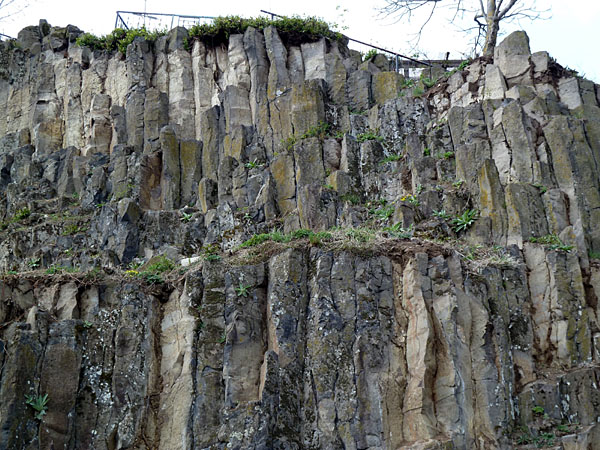 Basalts�ulen am Burgberg