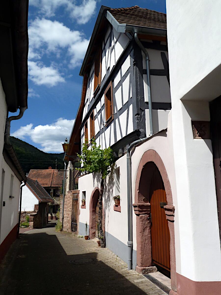 Hintergasse 7