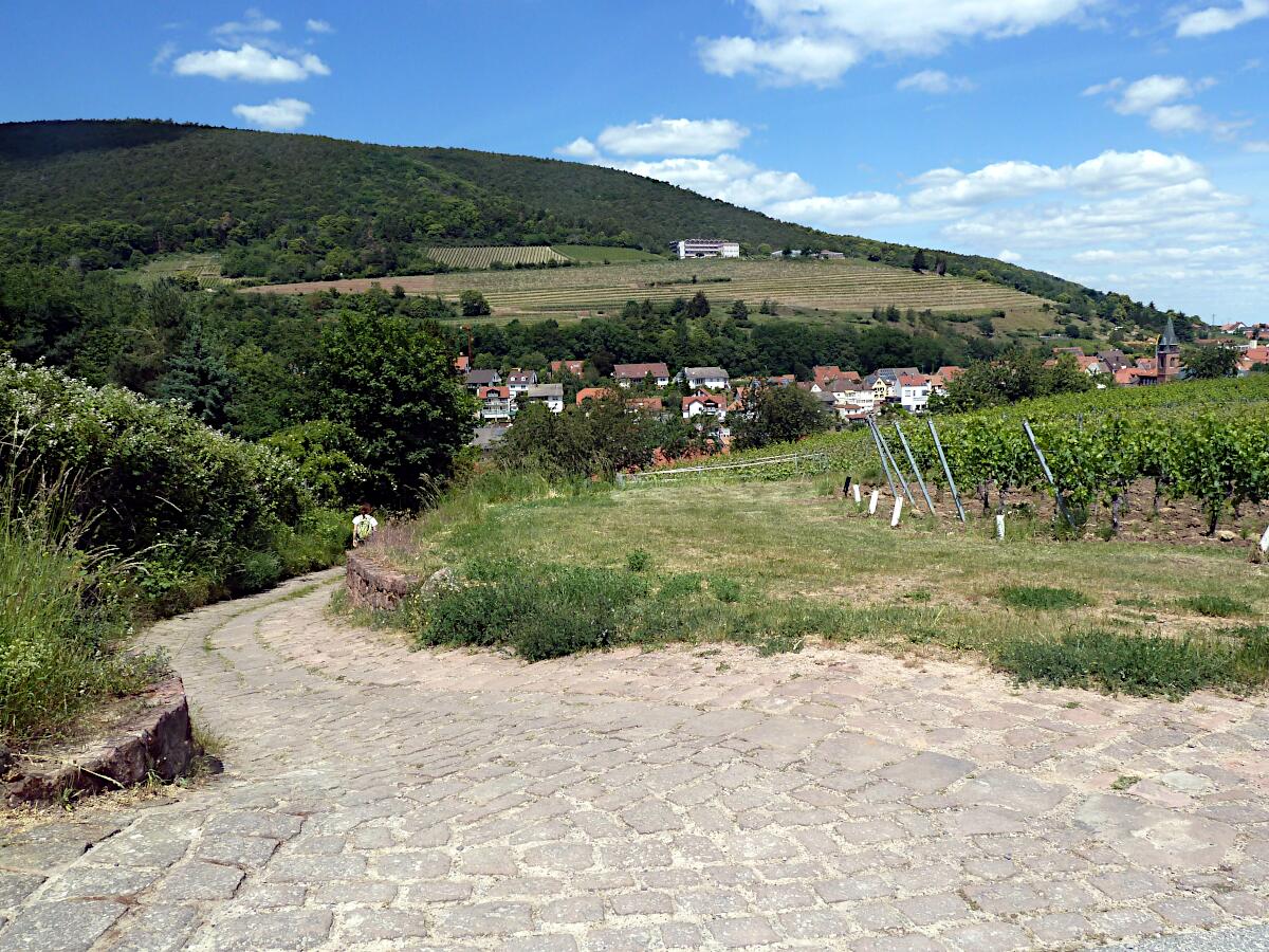 Aufgang zur Kropsburg