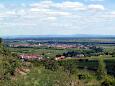 Blick auf Maikammer