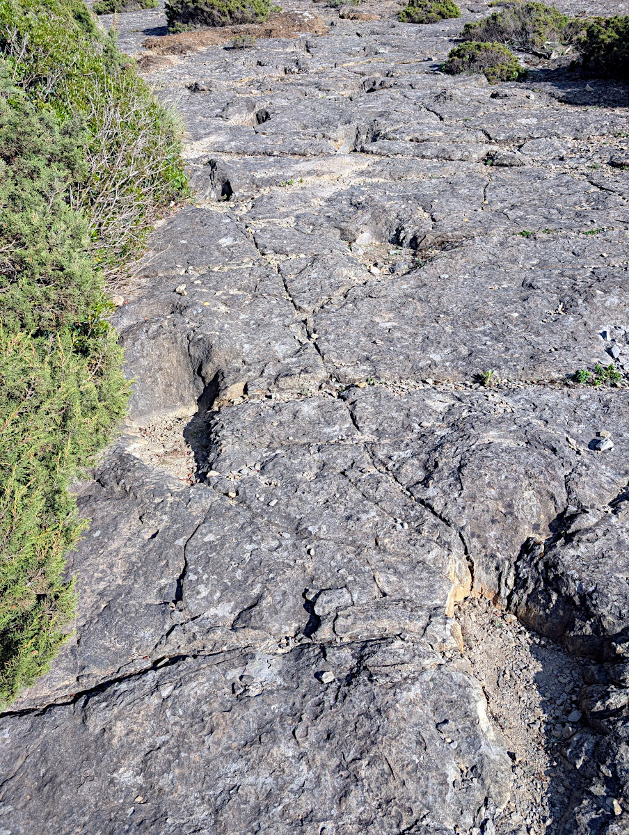 Salir do Porto - Pegadas de Dinossauros