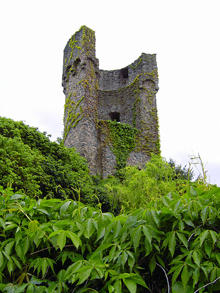 Stadtmauerturm - Dilgesturm