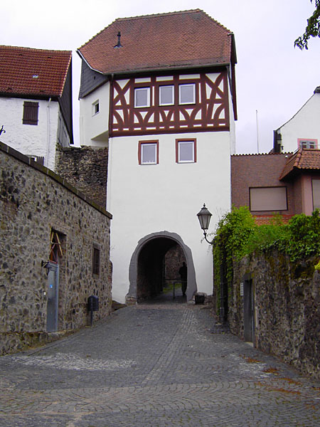Maintor (1507)