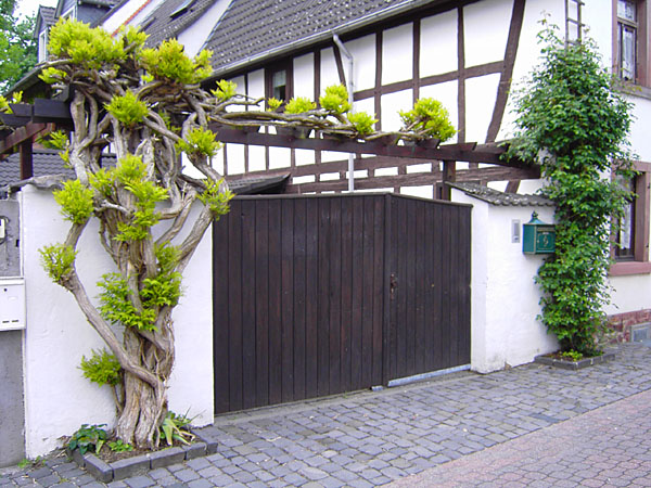 Mittelstrae