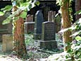 Alter jdischer Waldfriedhof