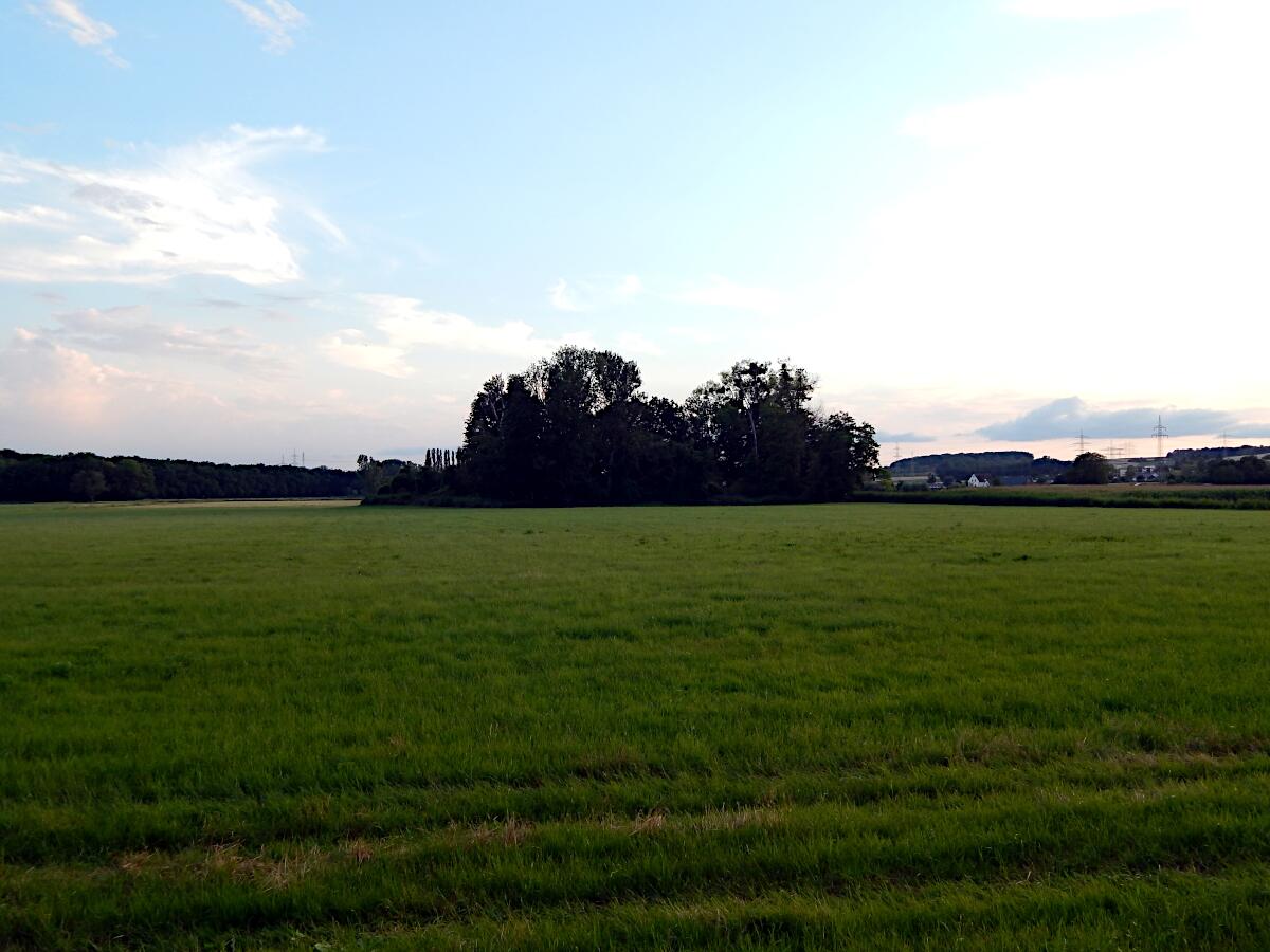 Ehem. Burg Wachenbuchen (11. Jh.)