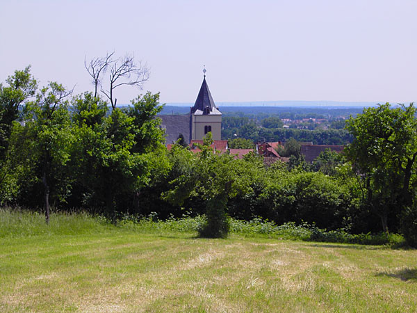 Blick vom Streuobsthang auf die Wehrkirche St.Kilian
