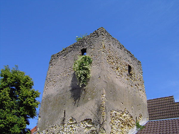 Turm in der Ringmauer (14. Jh.)