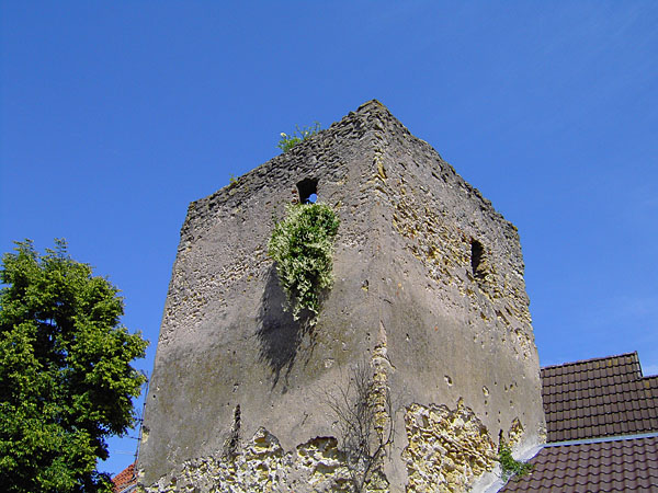 Turm in der Ringmauer (14. Jh.)