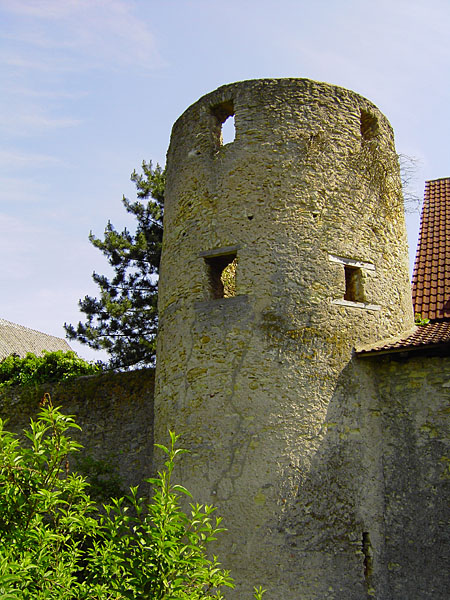 Ringmauer mit Halbturm (14. Jh.)