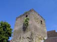 Turm in der Ringmauer (14. Jh.)