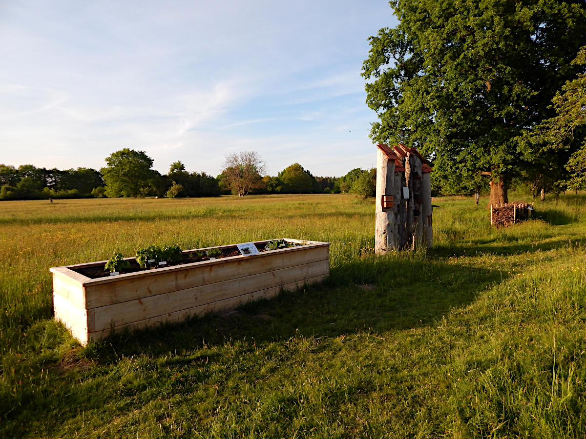 Naturschutzgebiet Mayengewann