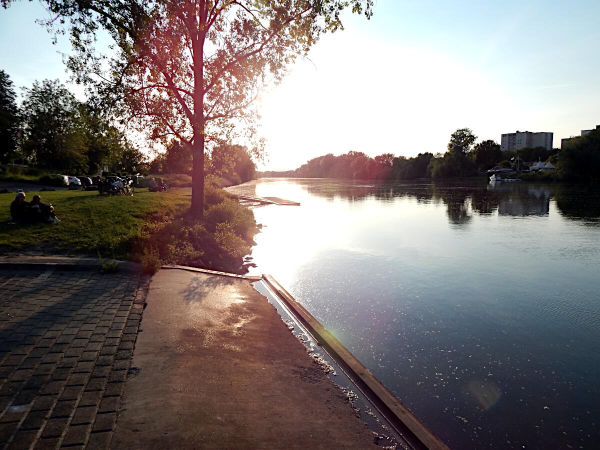 Mainufer - Fhranleger