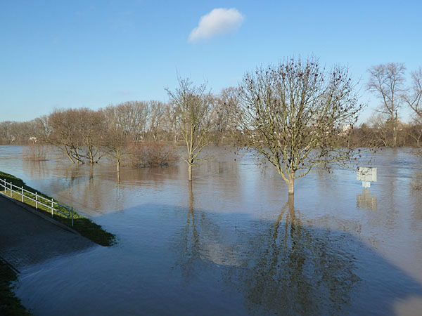 Mainufer - 16. Januar