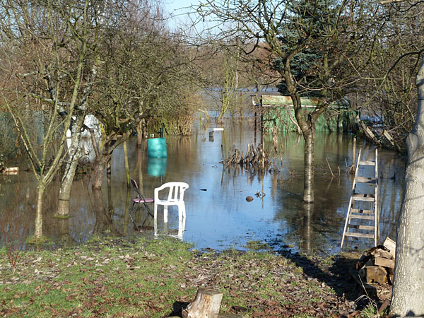 Mainufer - 16. Januar