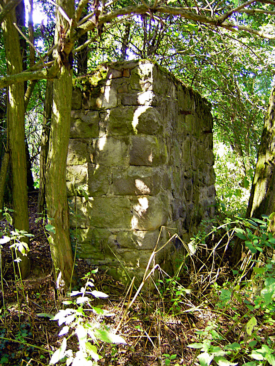 Alter Lorenweg zwischen Frankfurter und Vogelsberger See
