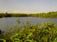 Naturschutzgebiet Schultheisweiher