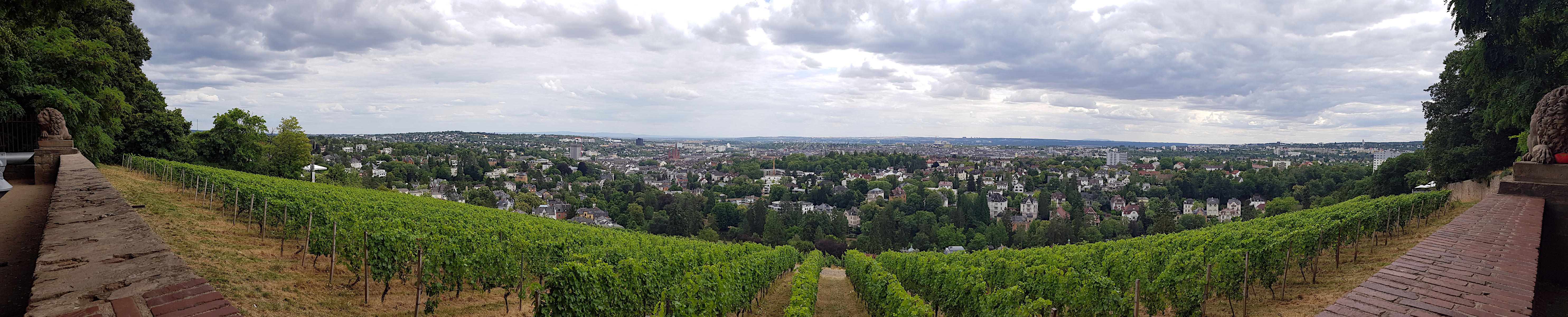 Neroberg - Lwenterrasse (1930)