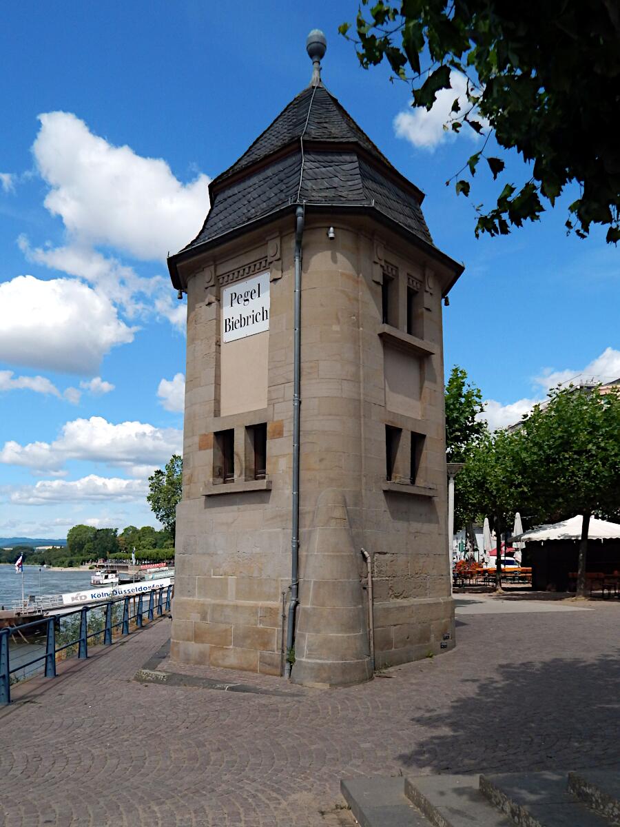 Pegel Biebrich (1909)