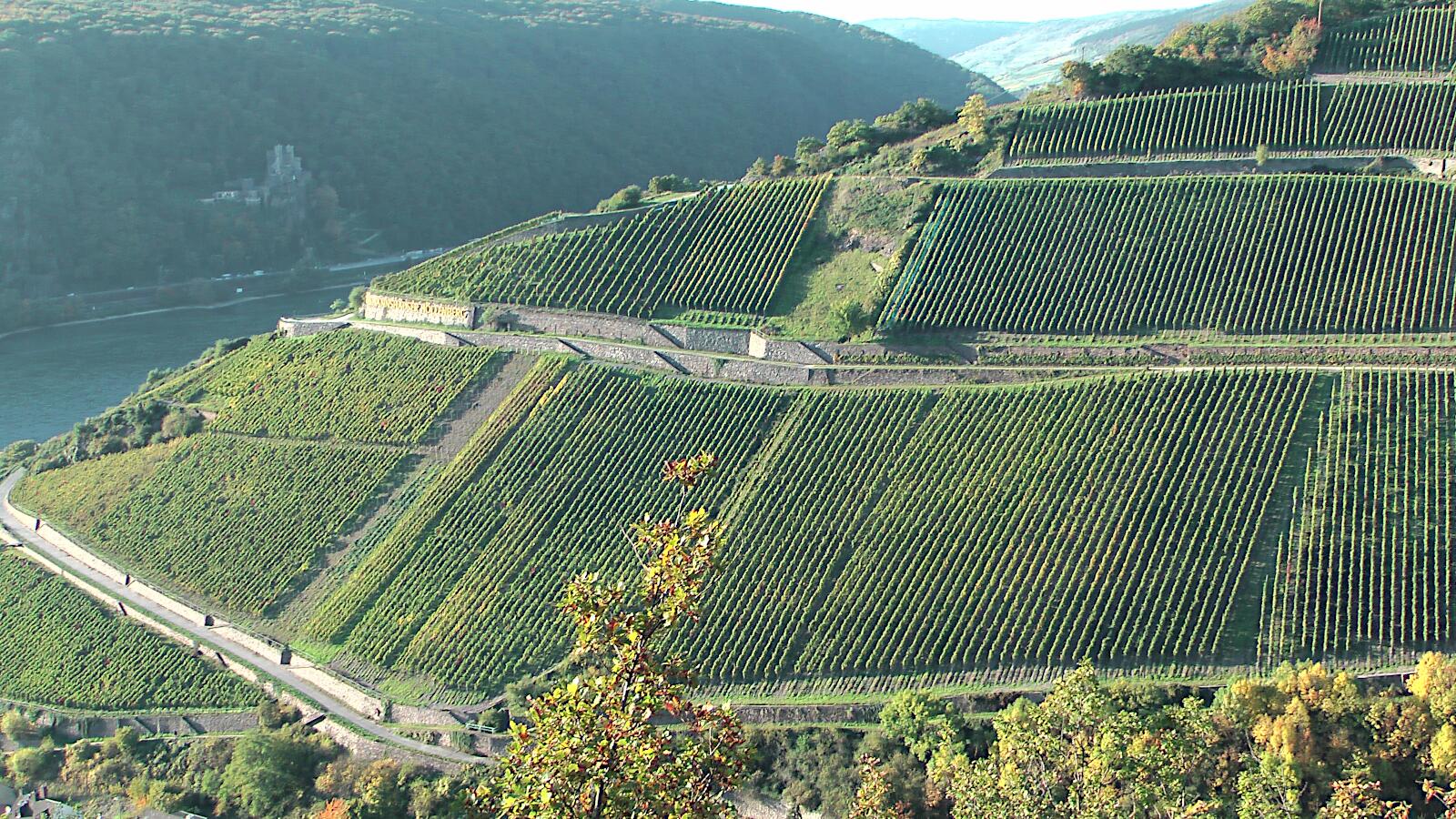Höllenberg