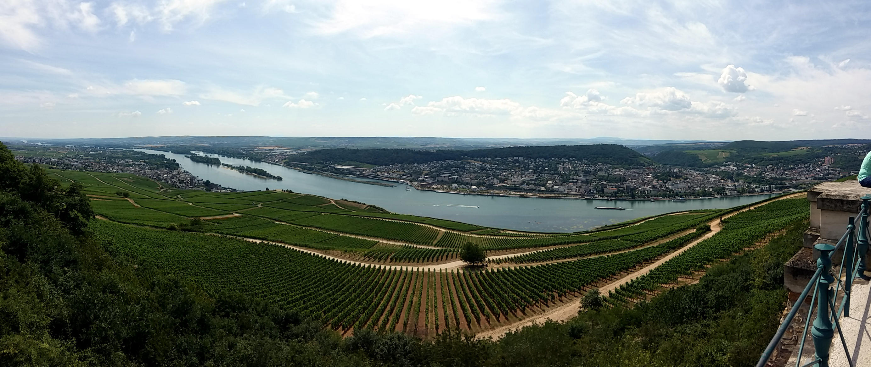 Rdesheim, Rdesheimer Aue, Bingen und Rdesheimer Berg