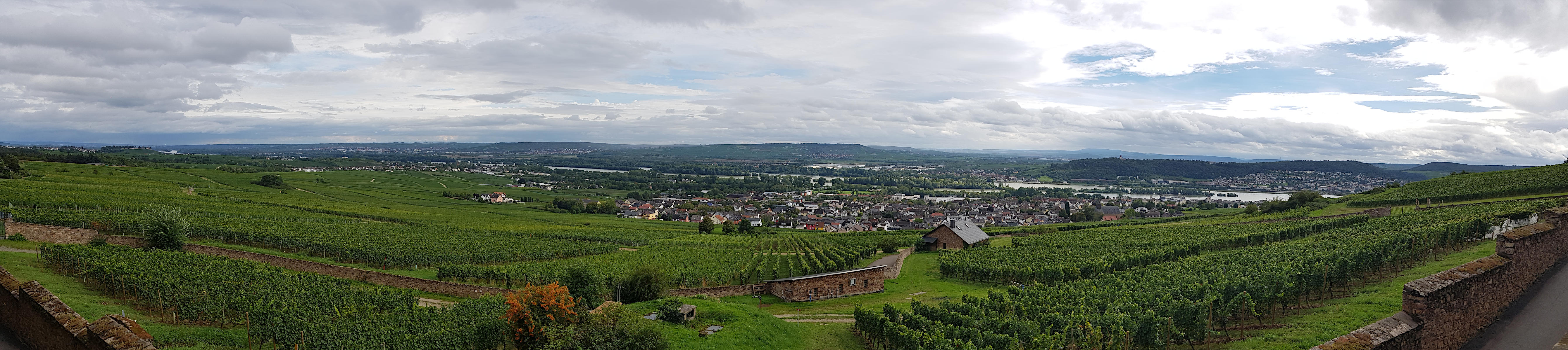 Klosterweingut, Rdesheimer Aue, Rdesheim