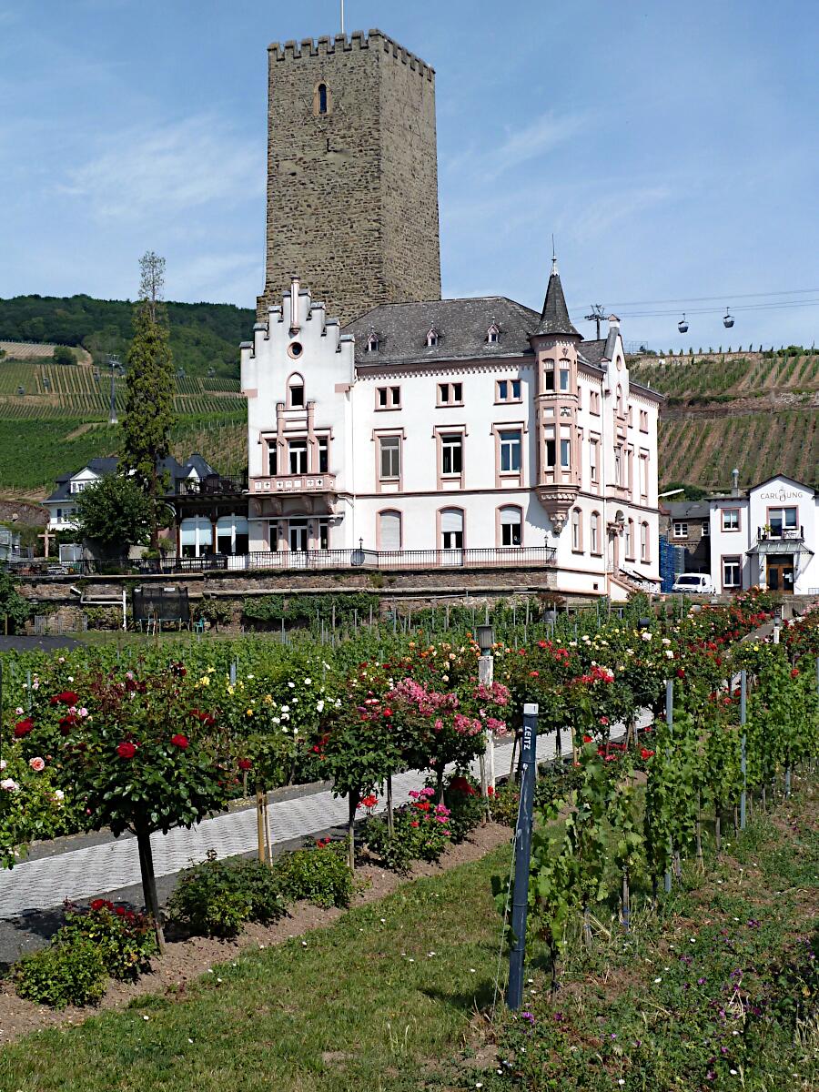 Boosenburg (12. Jh.) und Weinkellerei Carl Jung (1872)