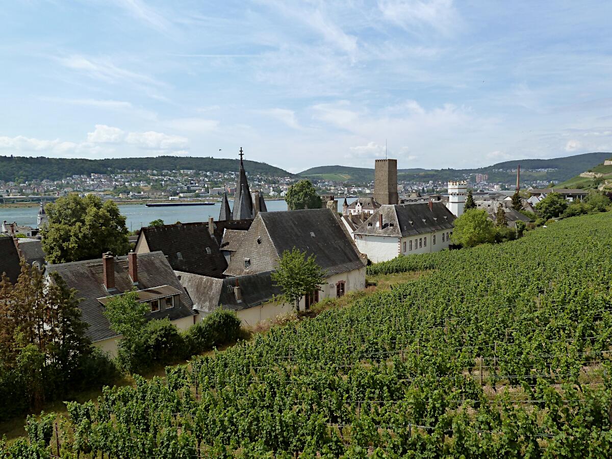 Rdesheim - Blickrichtung West mit Brmserhof (16./17. Jh.), Boosenburg (12. Jh.) und Bassenheimer Hof (ab 1430)