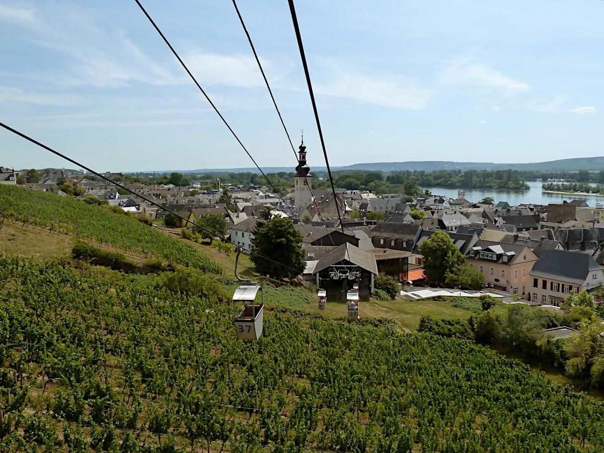 Rdesheim - Blickrichtung Ost mit Pfarrkirche St. Jakob (ab 1400)