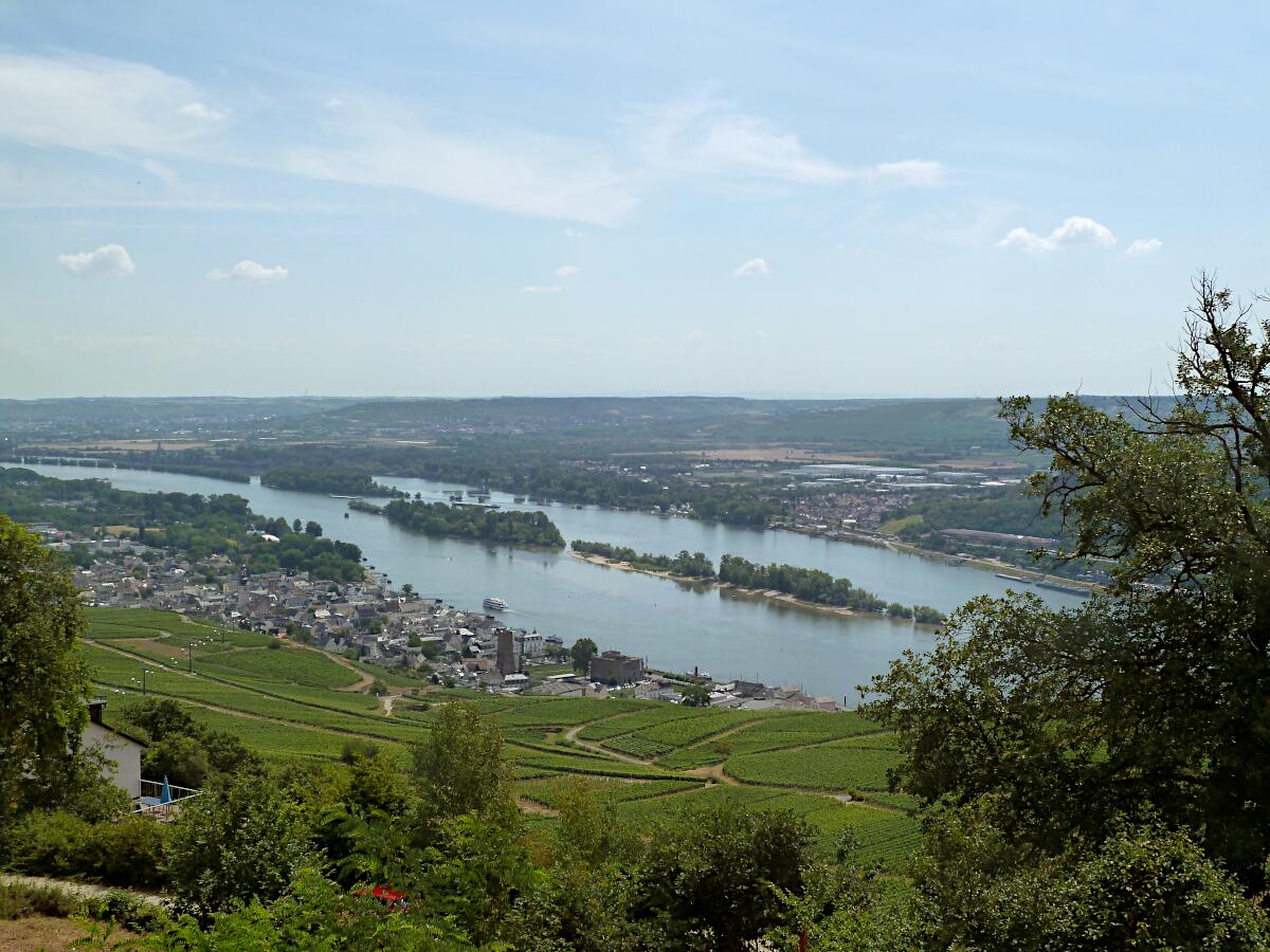 Rdesheim, Rdesheimer Aue und Bingen