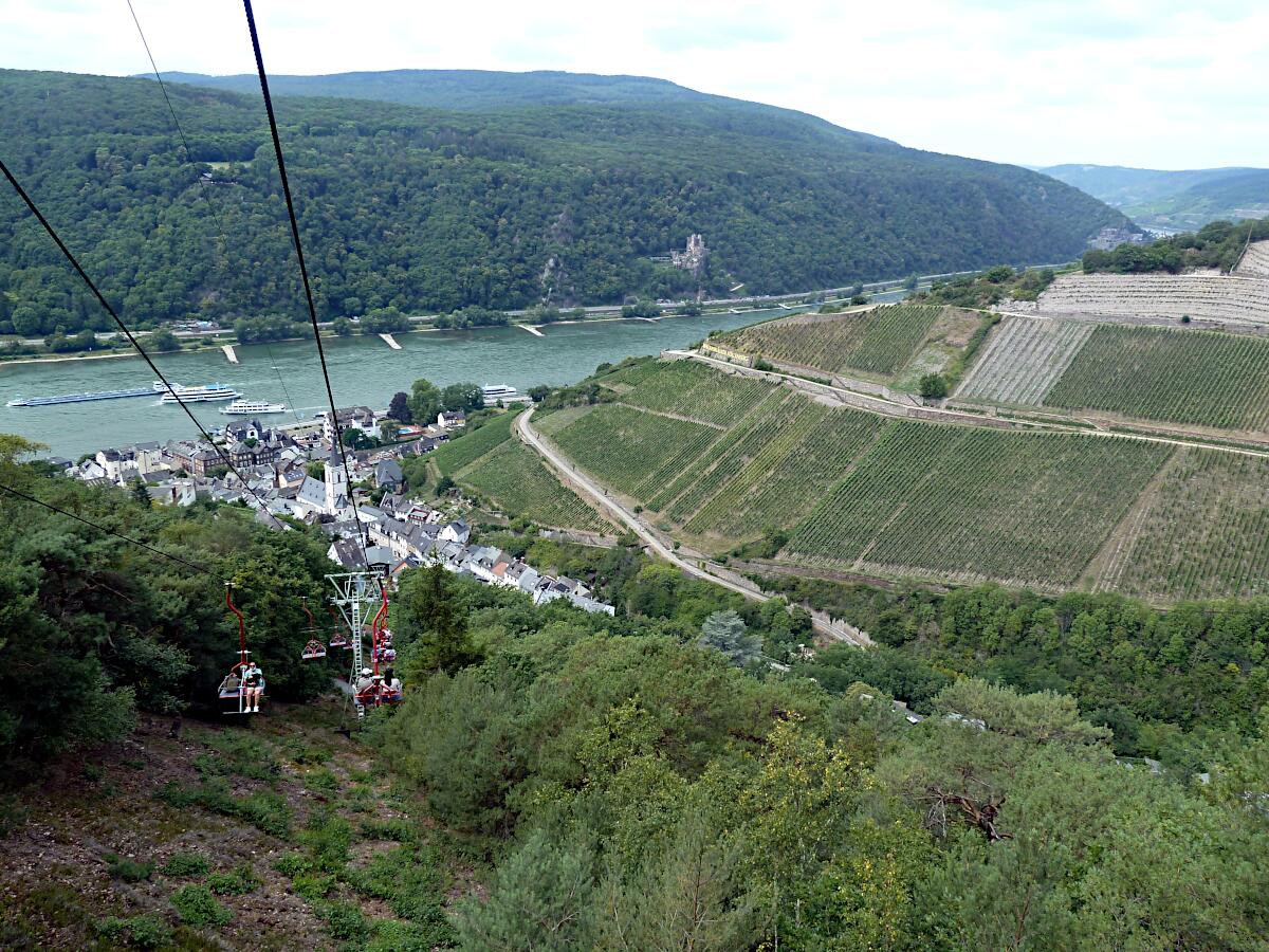 Assmannshausen und Hllenberg