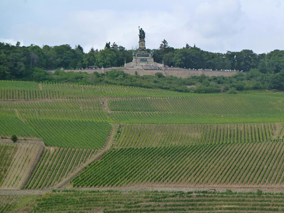 Rdesheimer Berg mit Niederwalddenkmal