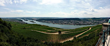 Rdesheim, Rdesheimer Aue, Bingen und Rdesheimer Berg