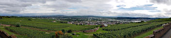 Klosterweingut, Rdesheimer Aue, Rdesheim