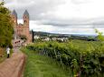 Abtei St. Hildegard (1904) mit Klosterweingut