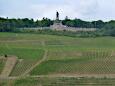 Rdesheimer Berg mit Niederwalddenkmal