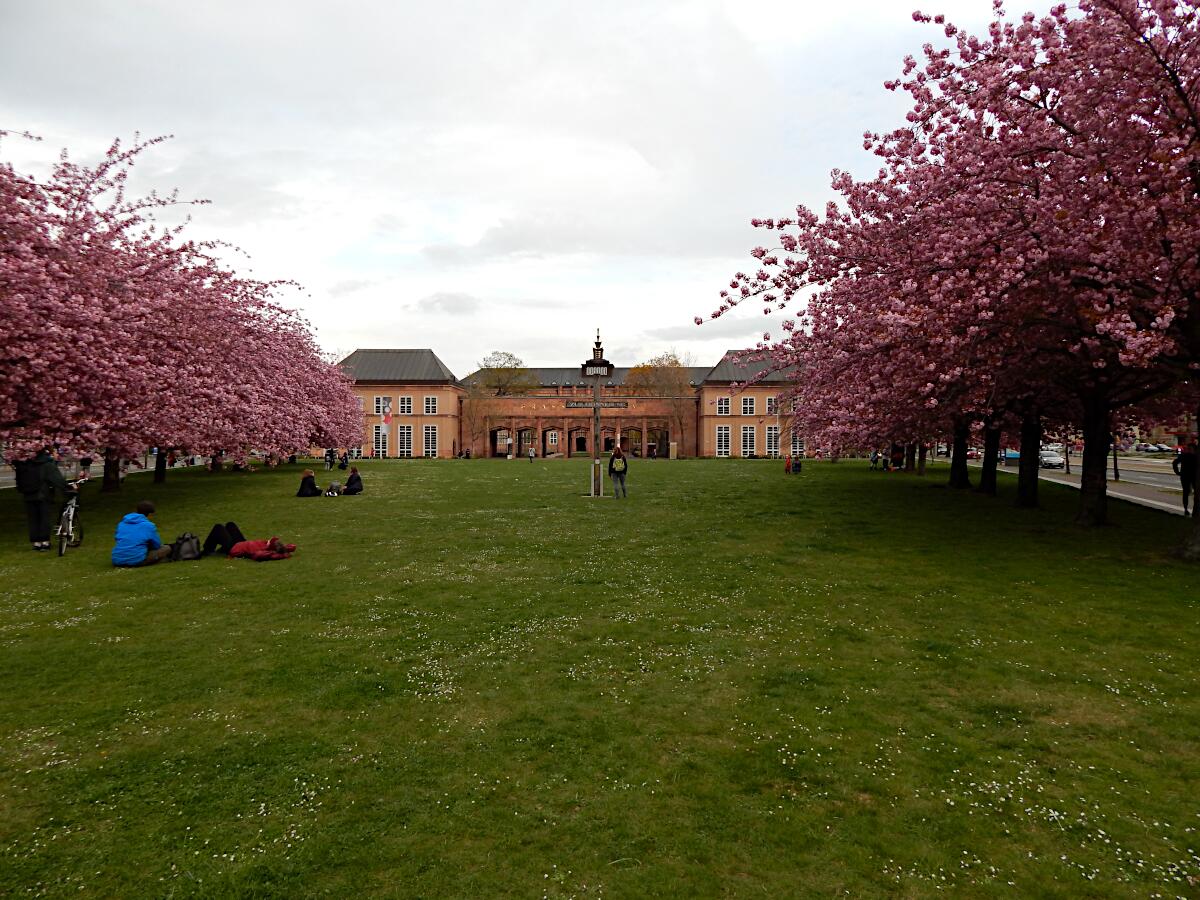 Johannisplatz - im Hintergrund Grassimuseum (1925-29)