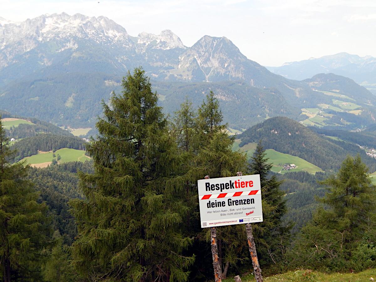 Tennengebirge - Hochkarfelderkopf (2219 m), Tagweide (2128 m), Schober (1810 m)