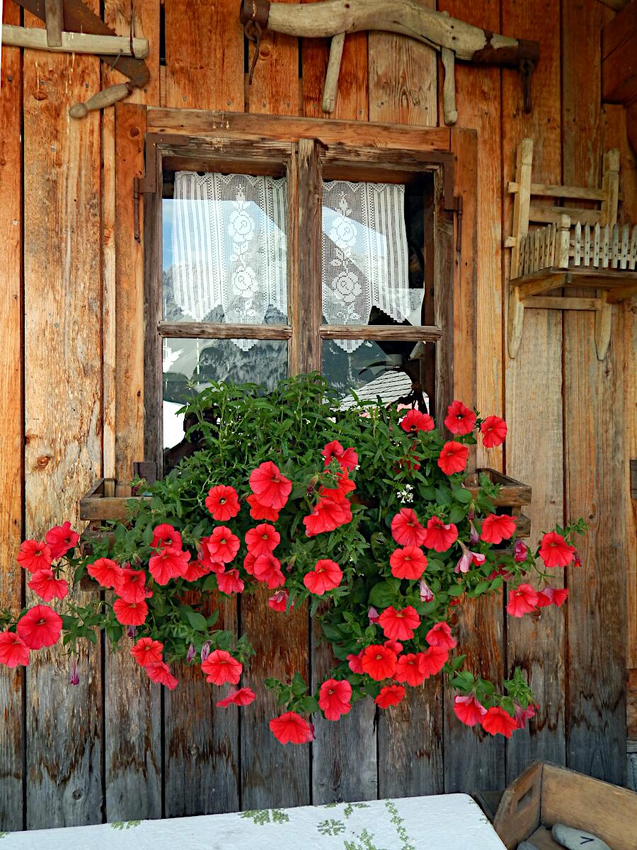 Loseggalm - Langfeldh�tte (1460 m)