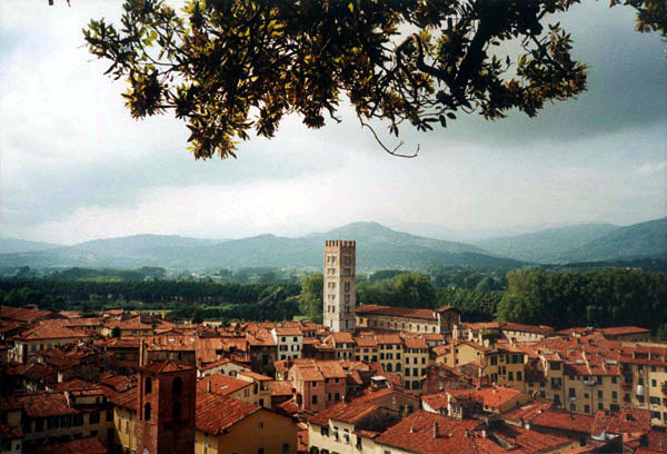 Lucca - Blick vom Torre Guinigi auf Chiesa di San Frediano und Piazza Anfiteatro