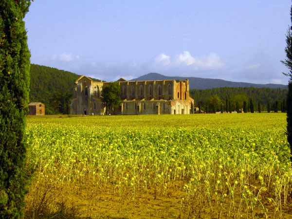 San Galgano - Nordansicht Klosterkirche (ab 1224)