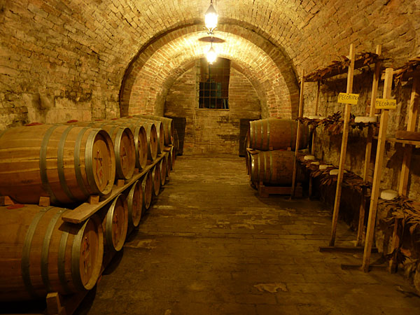 Montepulciano - Citta' Sotterranea Ercolani