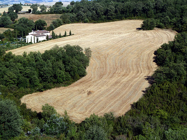 Bagno Vignoni