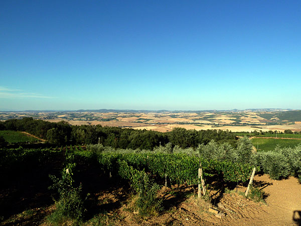 Montalcino - Val d'Orcia