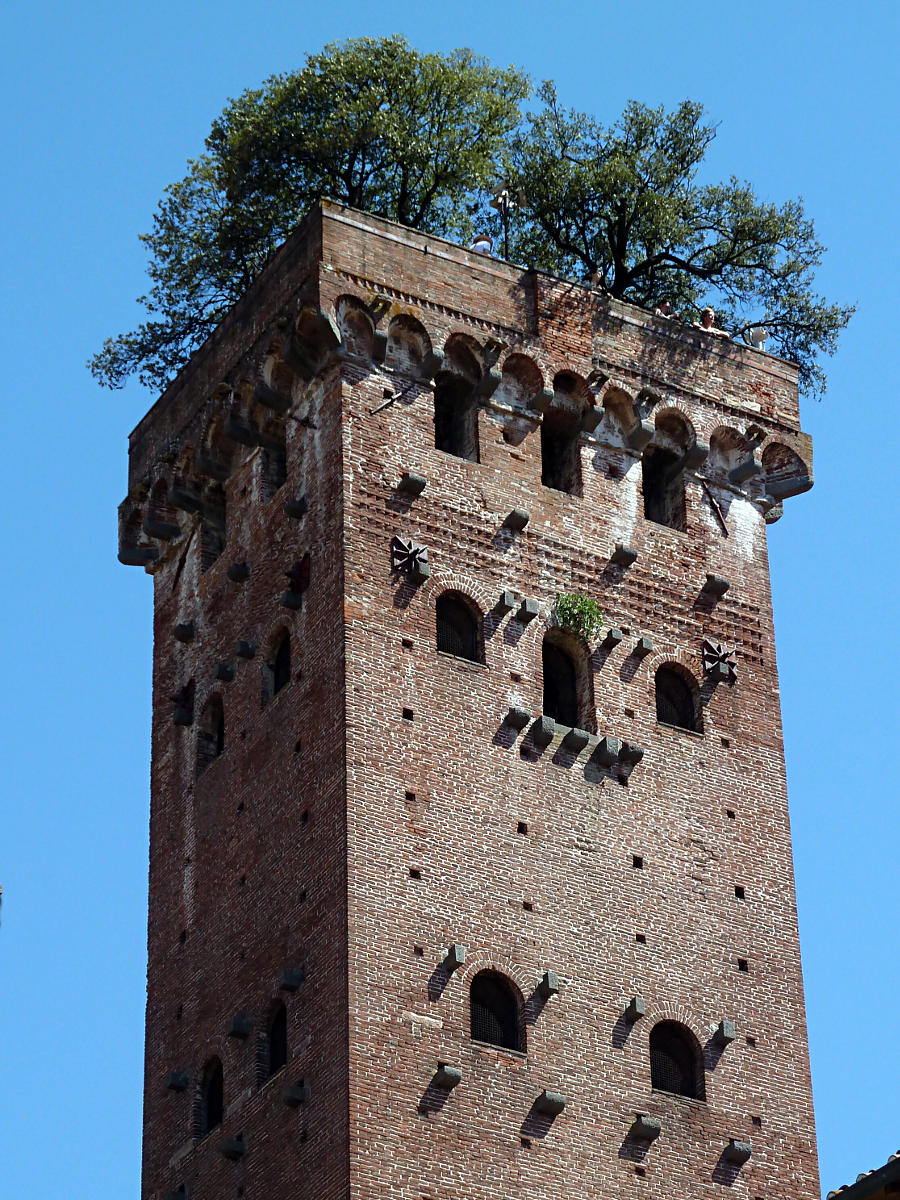 Lucca - Torre Guinigi