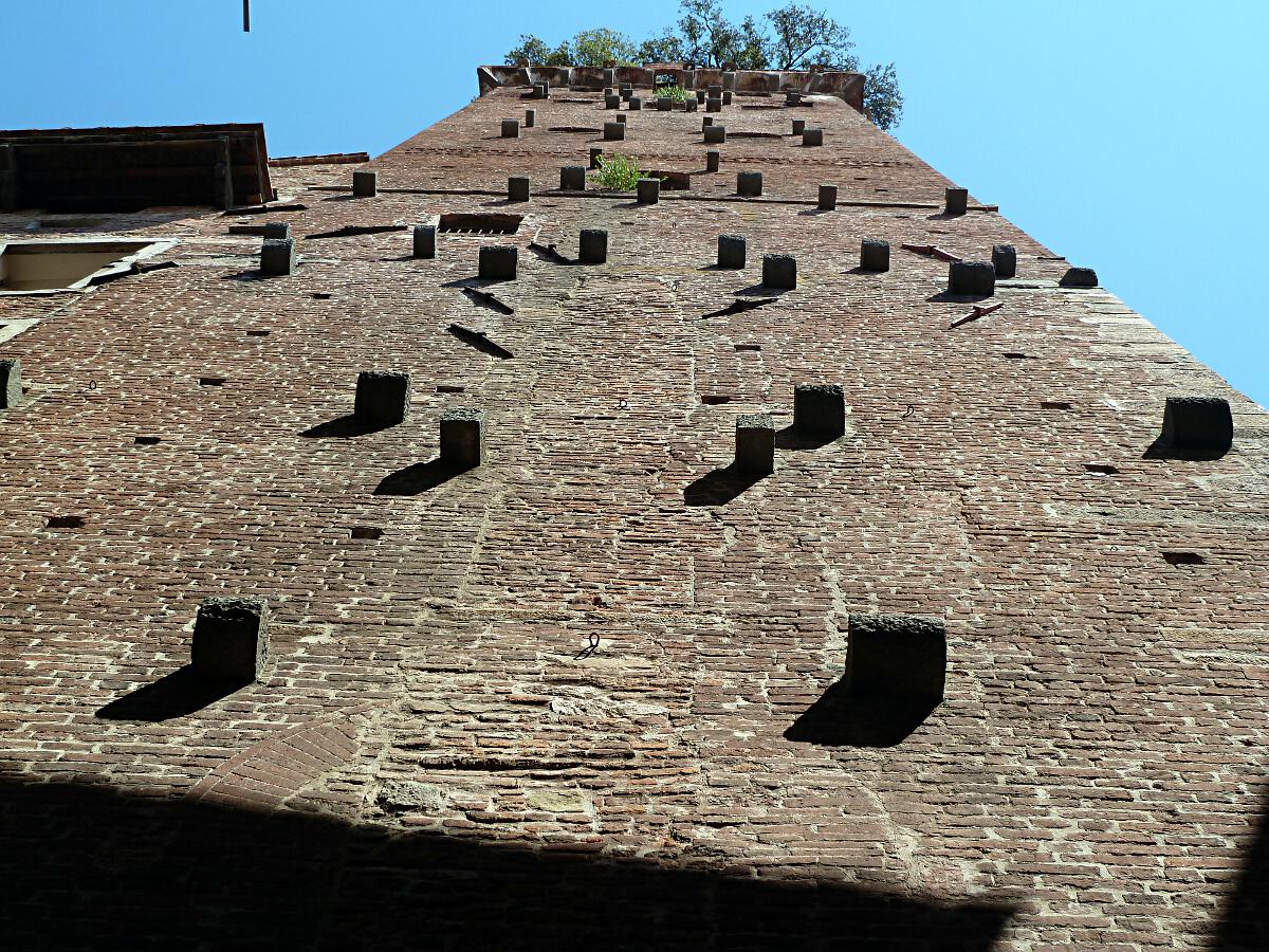 Lucca - Torre Guinigi