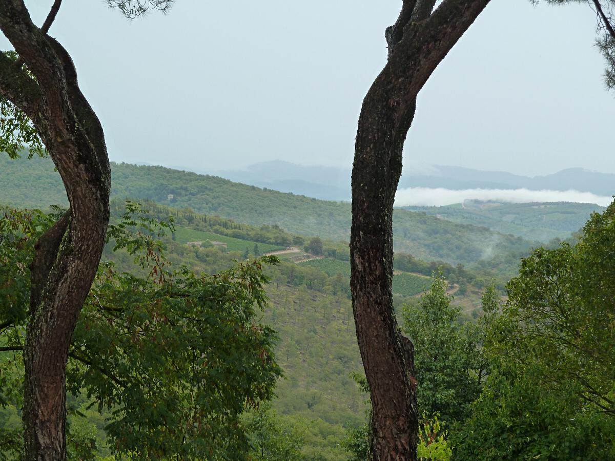 Castellina in Chianti