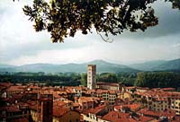 Lucca - Blick vom Torre Guinigi auf Chiesa di San Frediano und Piazza Anfiteatro
