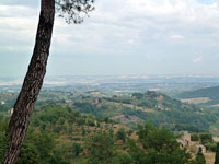 Montepulciano